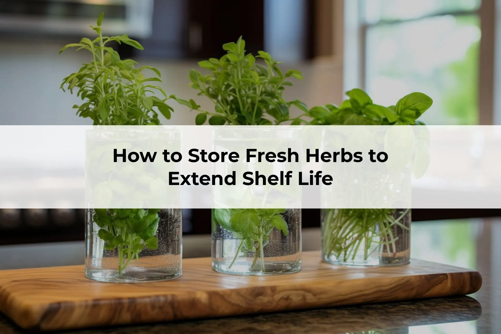 Fresh herbs stored in a glass jar filled with water